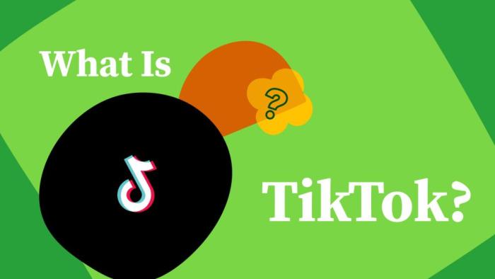 How to Block Someone on Tiktok