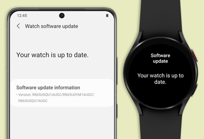 Samsung Galaxy Watch 3 Firmware Update