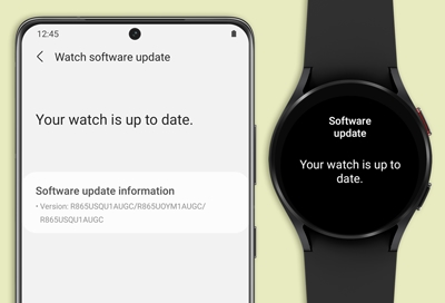 Samsung Galaxy Watch Active Software